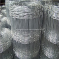 /msite/products/detail/productid/57027848/id/666379.html